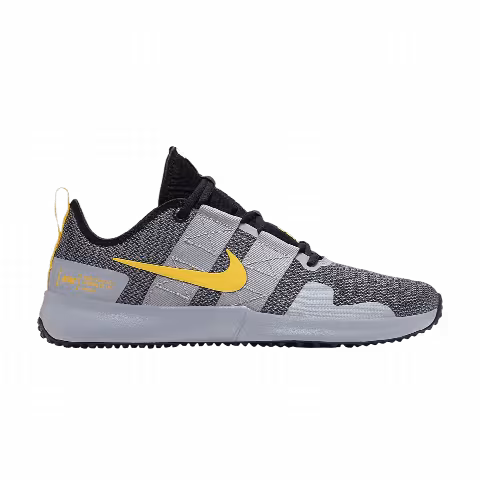 Nike Varsity Compete TR 2 'Atmosphere Grey'
