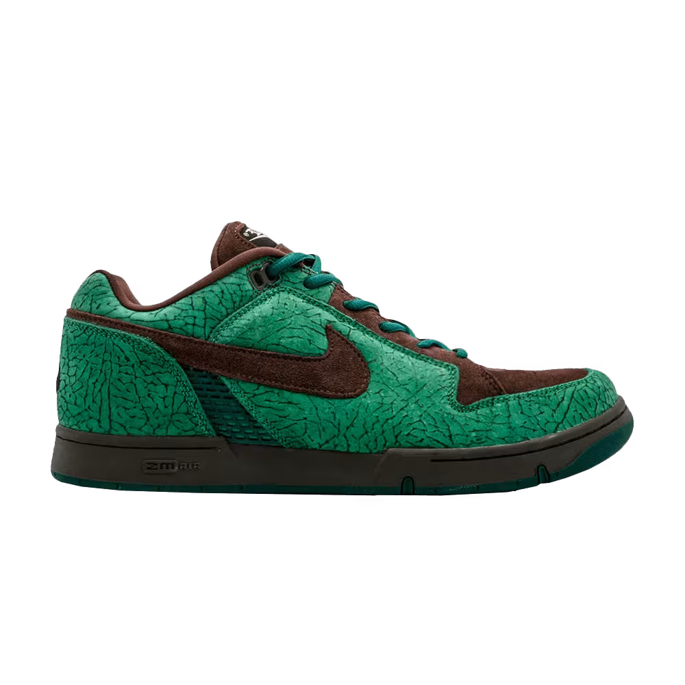 Nike Zoom Air Angus Charity