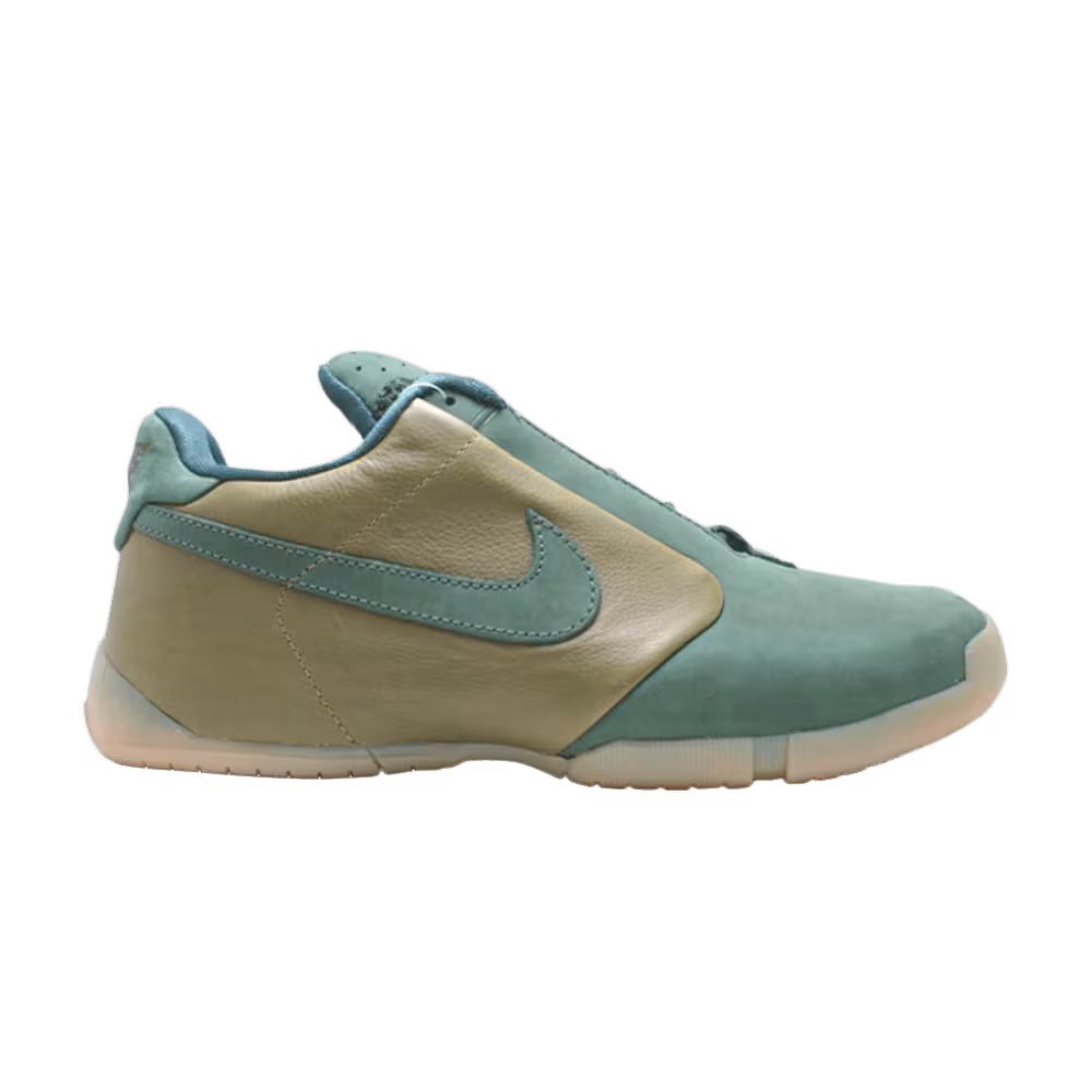 Nike Zoom Air Url