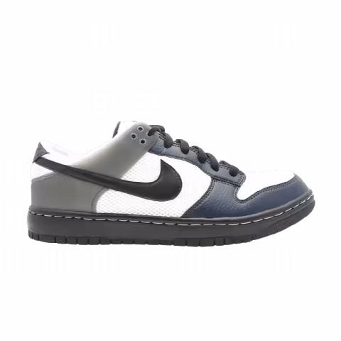 Nike Air Zoom Dunkesto