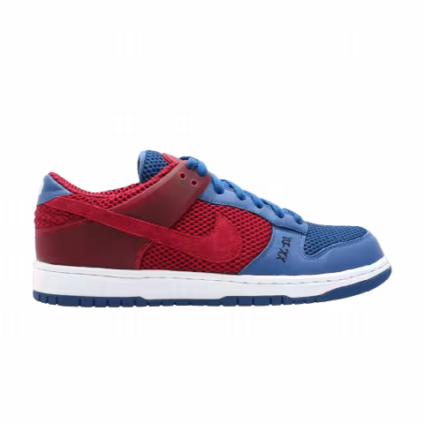 Nike Zoom Dunkesto