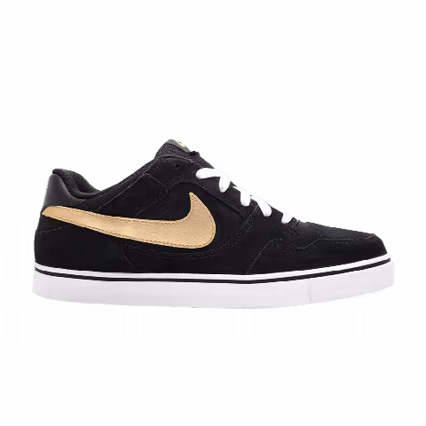 Nike Zoom Paul Rodriguez 2.5