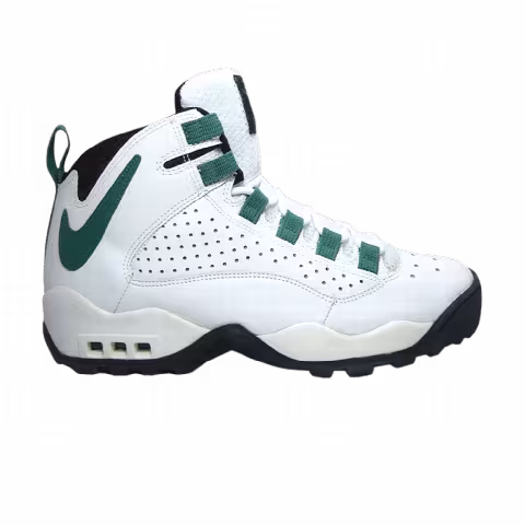 Nike Air Darwin High 'White Green'