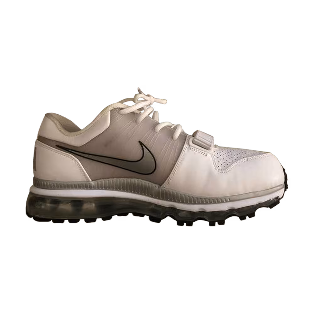 Nike Air Max TR 1+ Low Metallic Silver