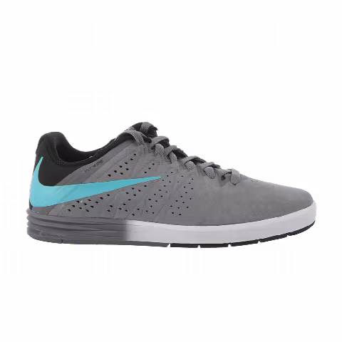 Nike Paul Rodriguez CTD SB