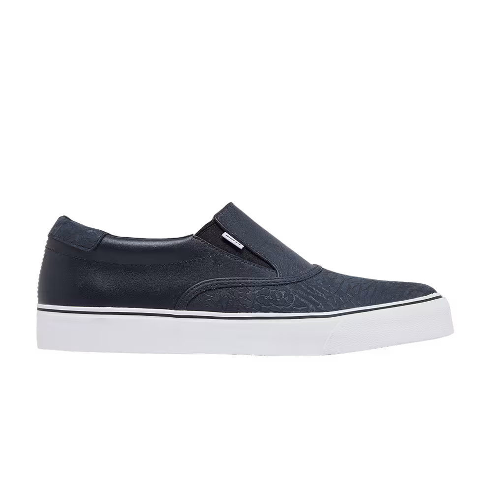 Nike Chet Childress x SB Zoom Verona