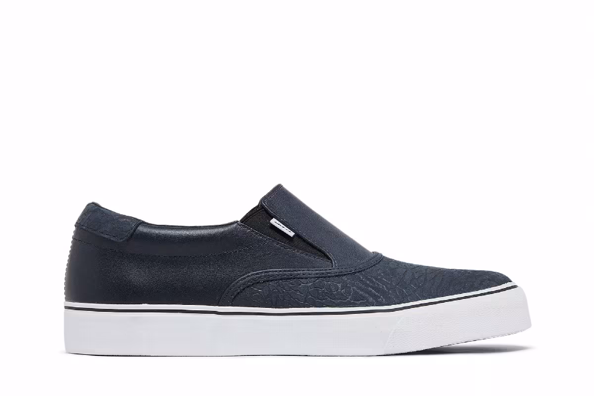 Nike Chet Childress x SB Zoom Verona, view 2
