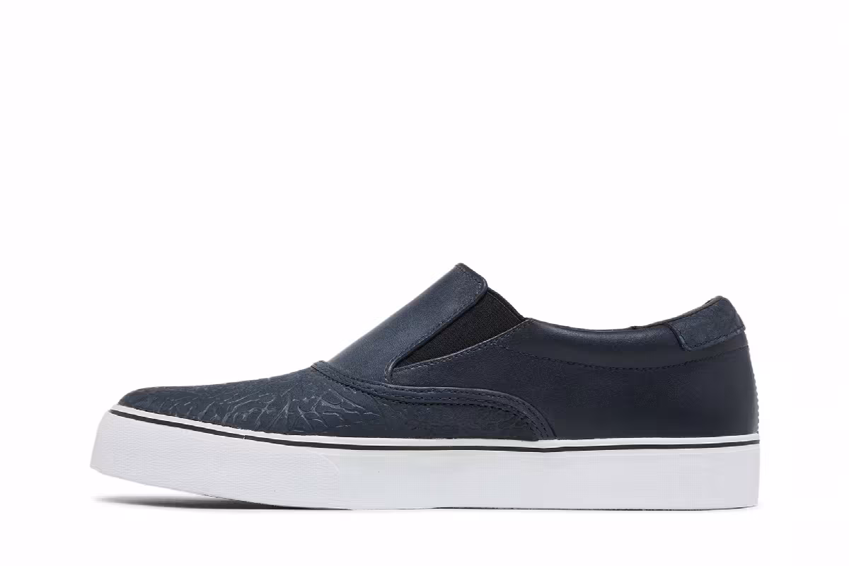 Nike Chet Childress x SB Zoom Verona, view 4