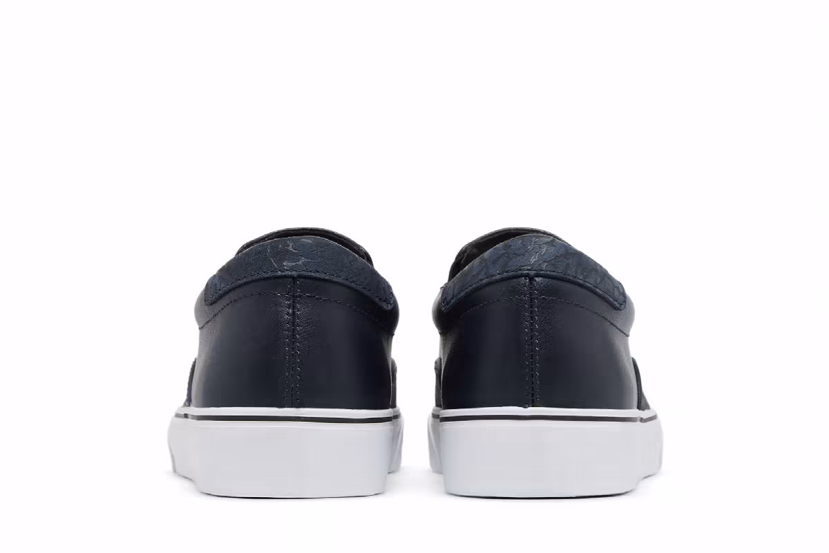 Nike Chet Childress x SB Zoom Verona, view 7