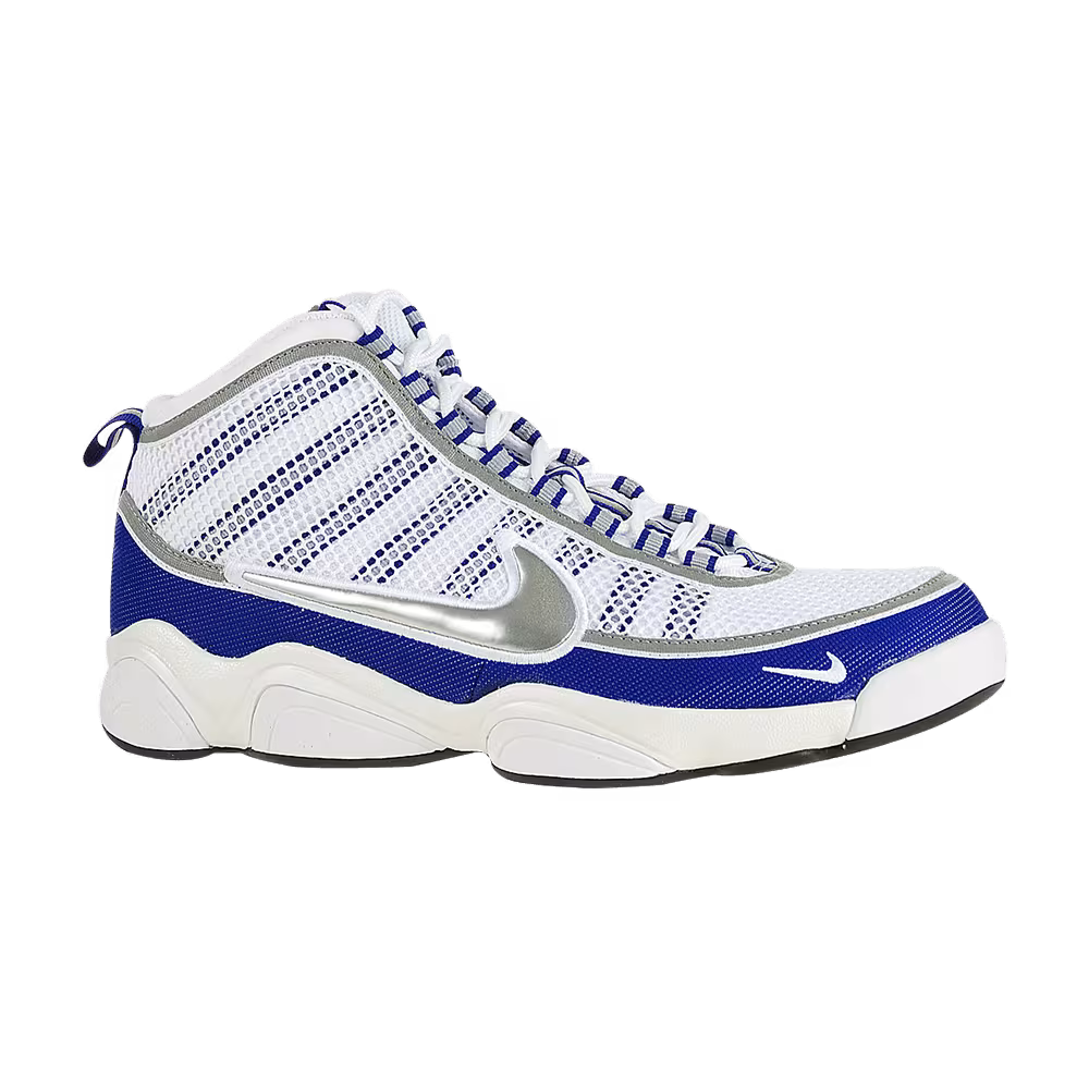 Nike Zoom Don Silver Concord