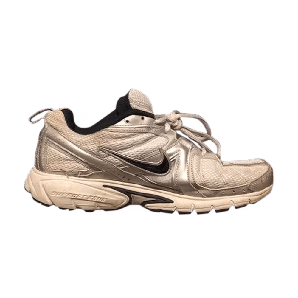 Nike Dart 5 Silver