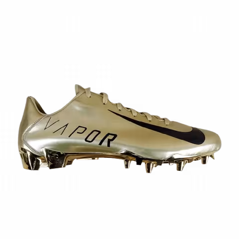 Nike Vapor Jet 4.2 Low 'Metallic Gold'