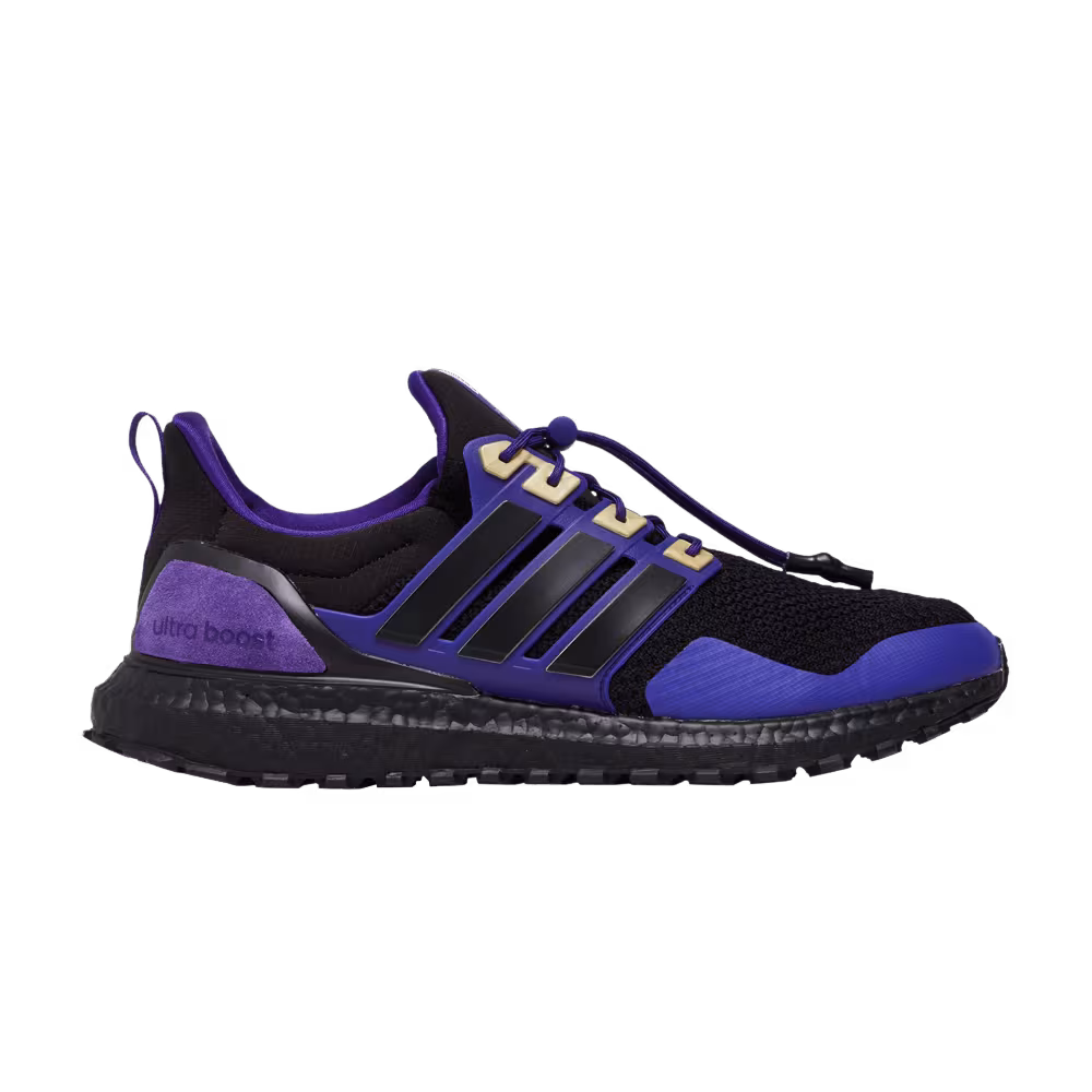 Adidas UltraBoost 1.0 NCAA Pack - Washington