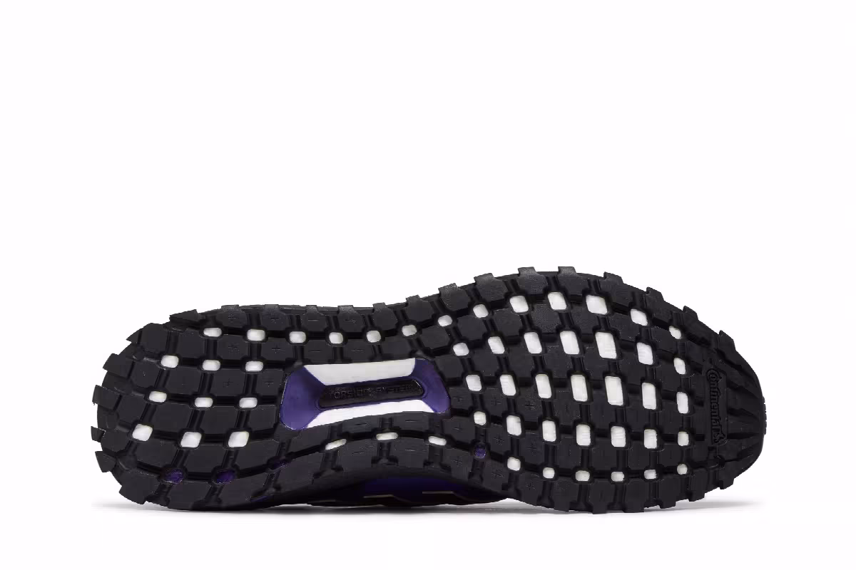 Adidas UltraBoost 1.0 NCAA Pack - Washington, view 5