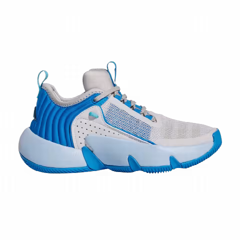 Adidas Trae Unlimited Big Kid 'Dash Grey Bright Blue'