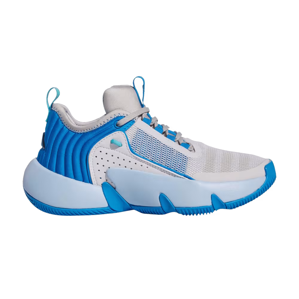 Adidas Trae Unlimited Big Kid Dash Grey Bright Blue