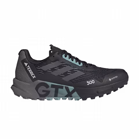 Adidas Wmns Terrex Agravic Flow 2.0 GORE-TEX 'Black Light Blue'
