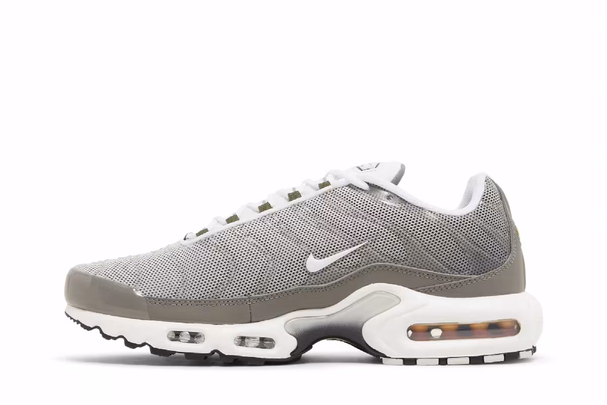 Nike Air Max Plus SE Flat Pewter, view 4