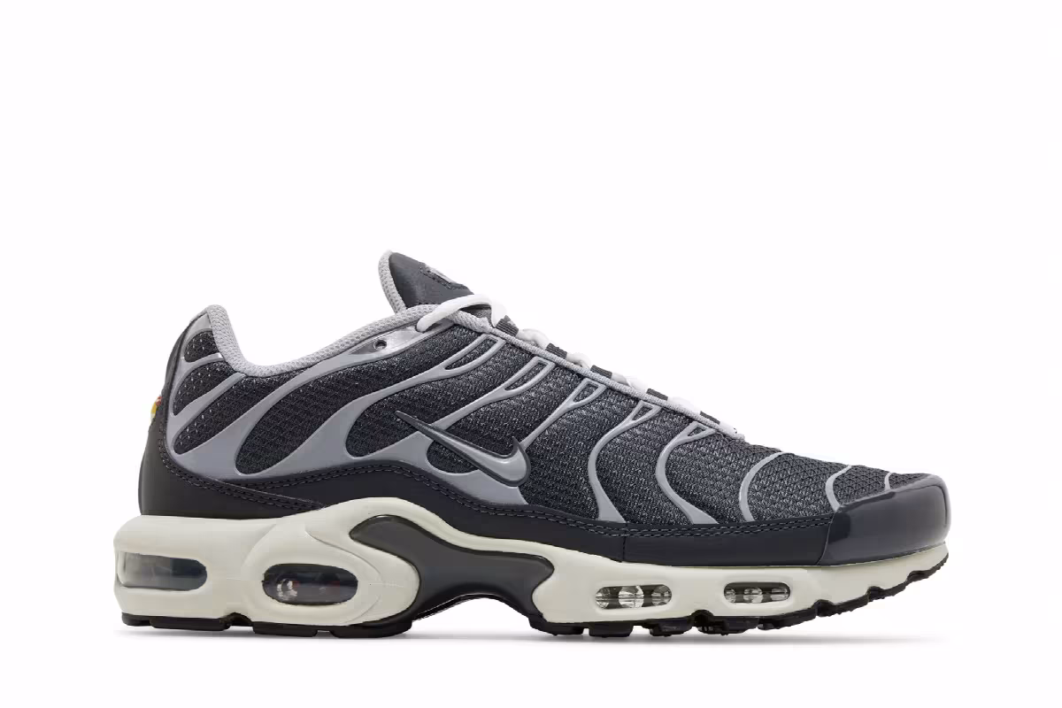 Nike Air Max Plus SE Iron Grey, view 2