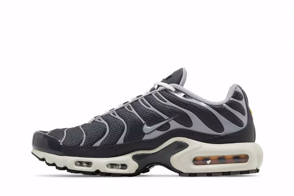 Nike Air Max Plus SE Iron Grey, view 4