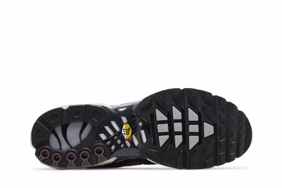 Nike Air Max Plus SE Iron Grey, view 5