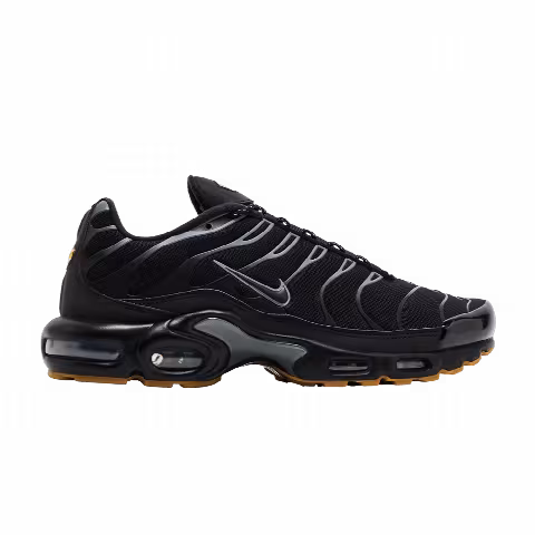 Nike Air Max Plus 'Black Gum Light Brown'