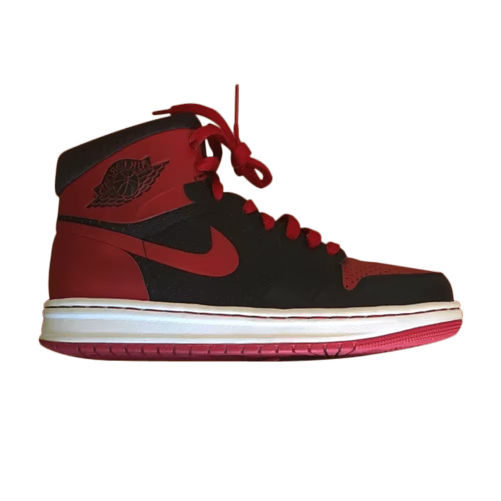 Air Jordan 1 Alpha GS Bred