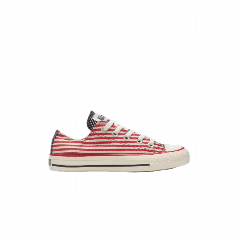 Converse Chuck Taylor All Star Spec Low TD 'USA'