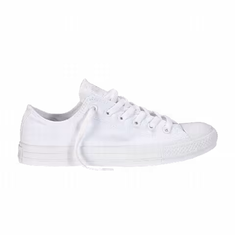 Converse Chuck Taylor All Star Spec Ox 'Mono White'