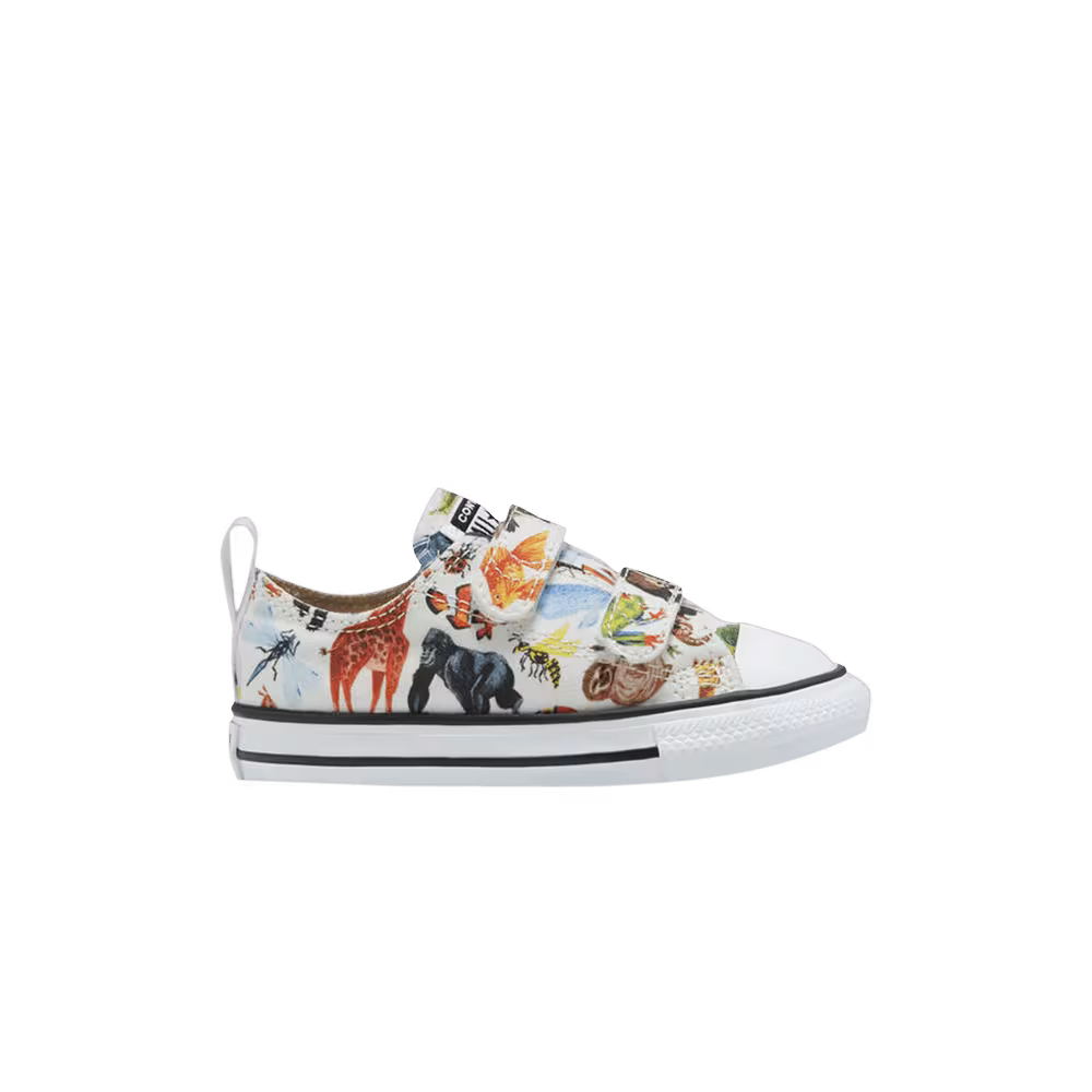 Converse Chuck Taylor All Star Low Easy-On TD Science Class