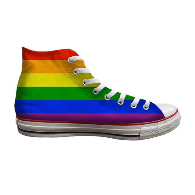 Converse Chuck Taylor All Star Hi Pride Flag