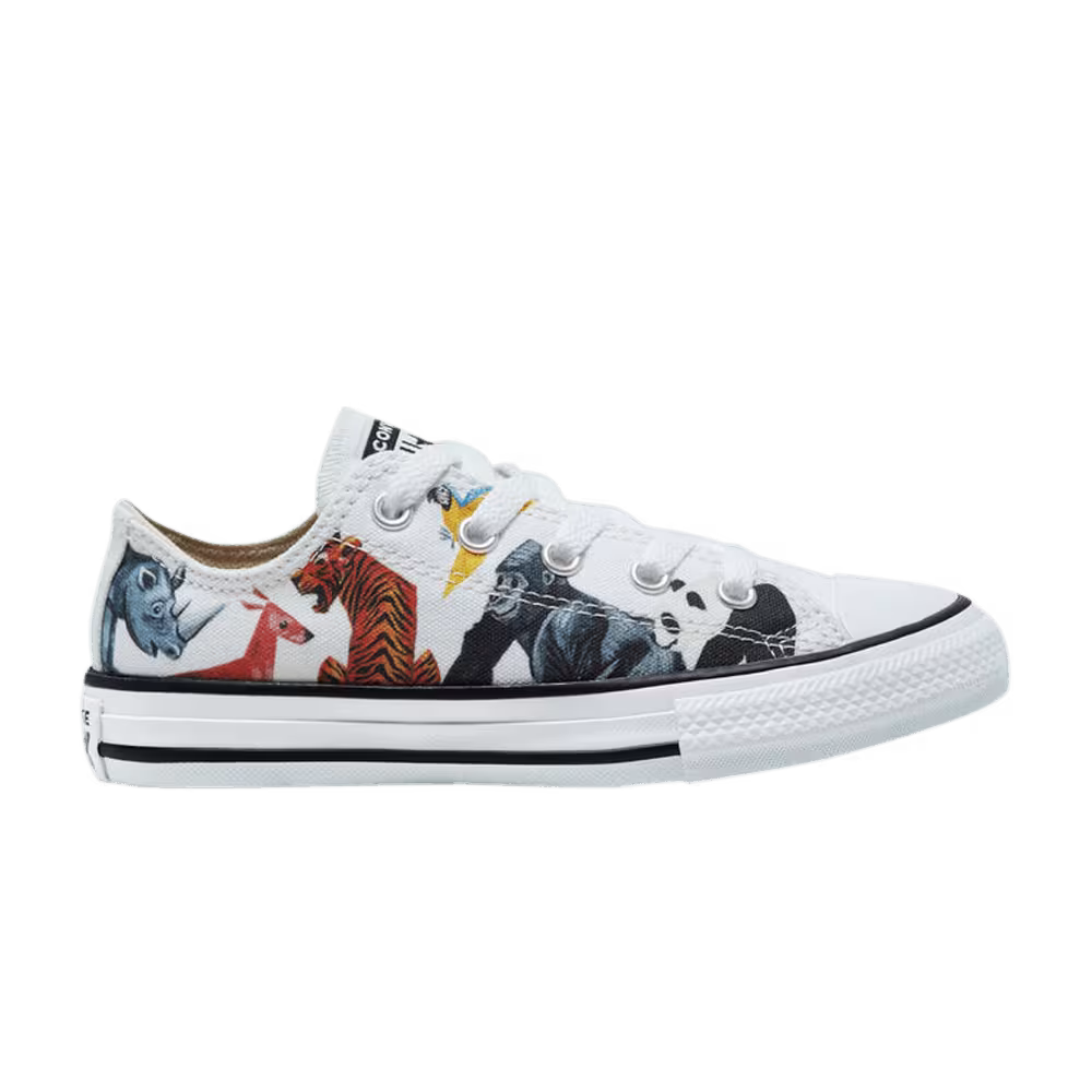 Converse Chuck Taylor All Star Low GS Science Class