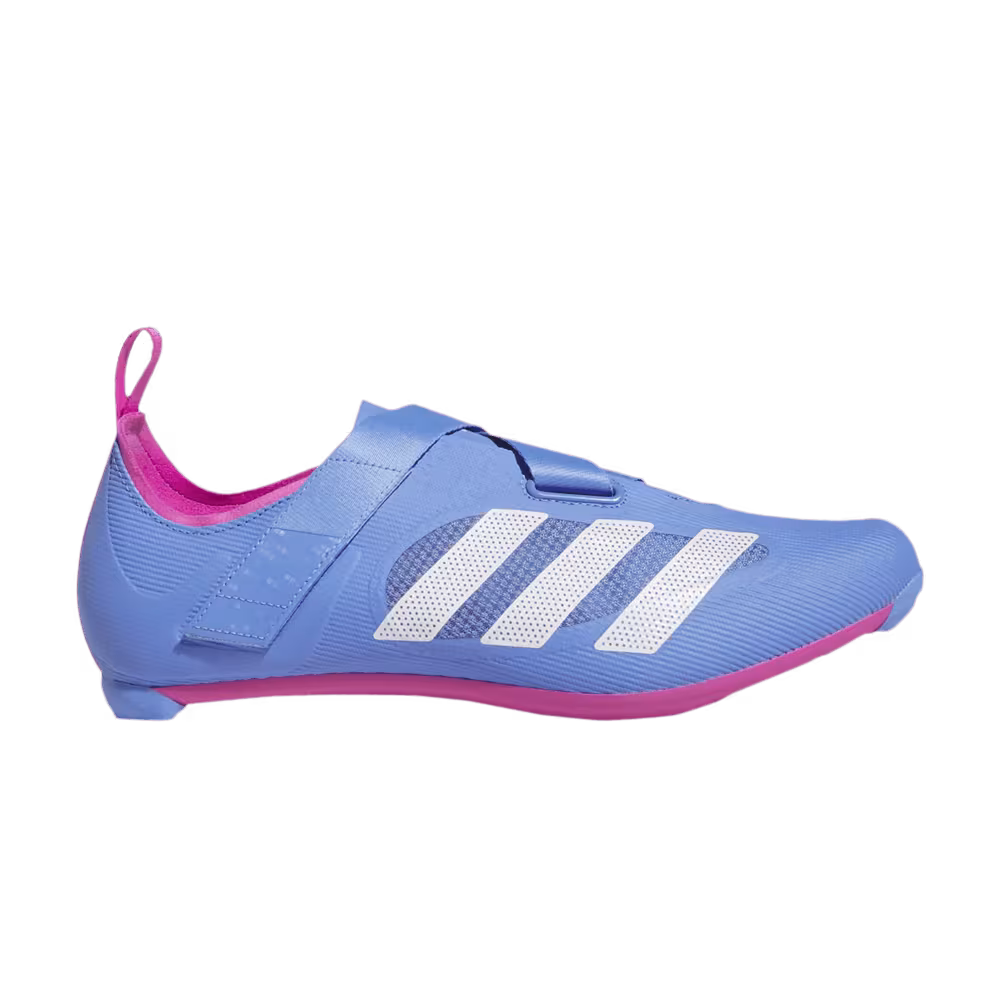 Adidas Indoor Cycling Blue Fusion Lucid Fuchsia