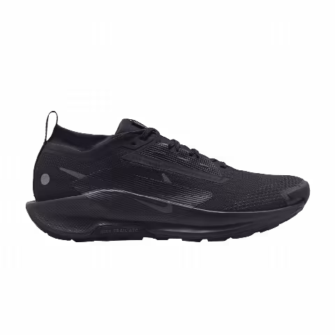 Nike Pegasus Trail 5 GORE-TEX 'Black Anthracite'