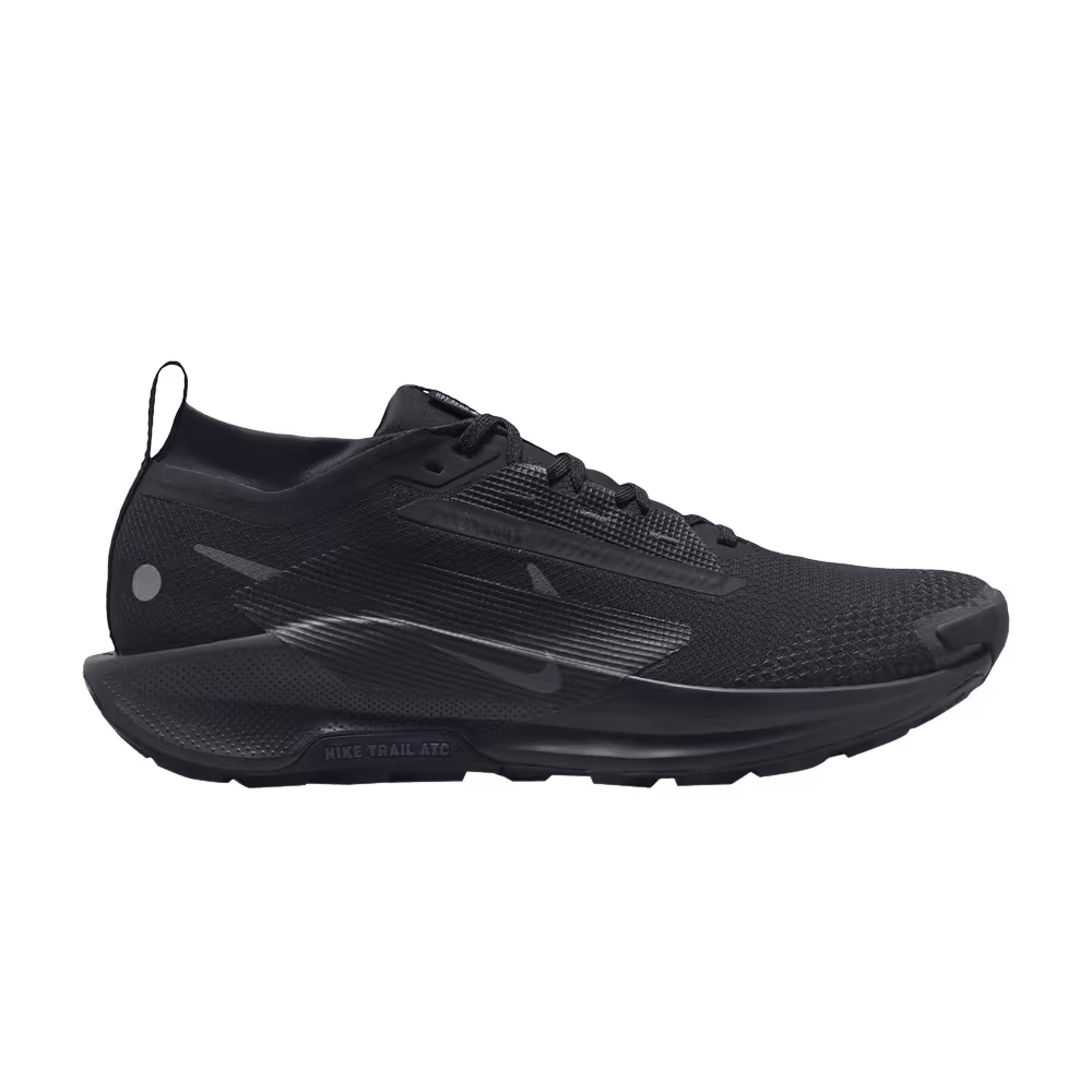 Nike Pegasus Trail 5 GORE-TEX Black Anthracite