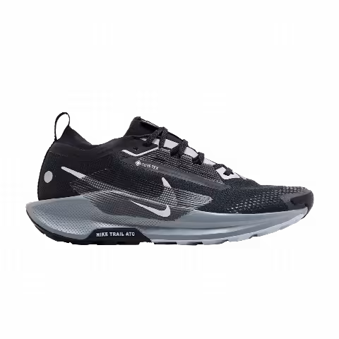 Nike Pegasus Trail 5 GORE-TEX 'Black Wolf Grey'