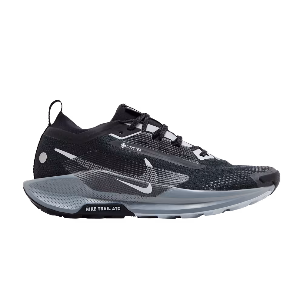 Nike Pegasus Trail 5 GORE-TEX Black Wolf Grey