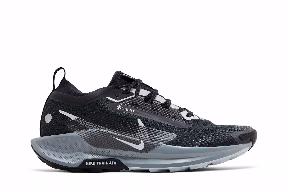 Nike Pegasus Trail 5 GORE-TEX Black Wolf Grey, view 2