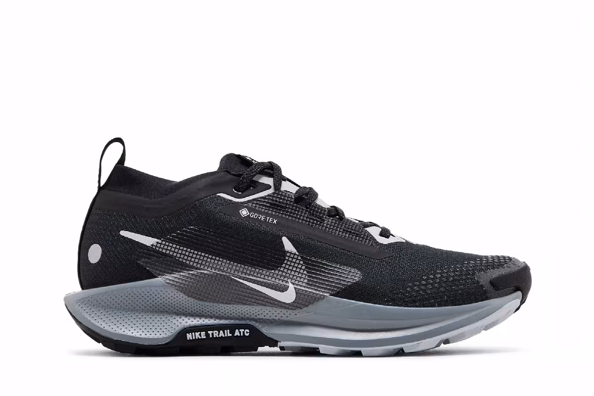 Nike Women's Pegasus Trail 5 GORE-TEX Black Wolf Grey, view 2