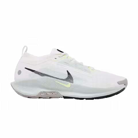 Nike Pegasus Trail 5 GORE-TEX 'Light Silver Sequoia'