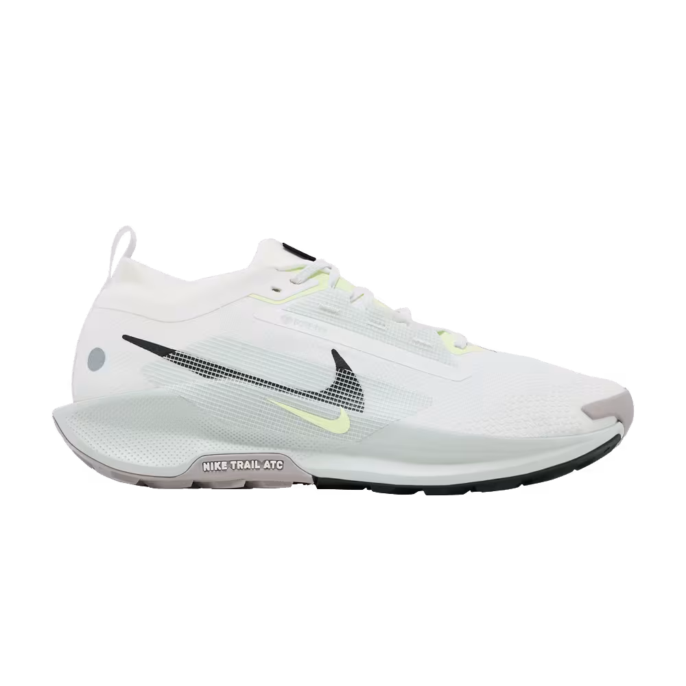 Nike Pegasus Trail 5 GORE-TEX Light Silver Sequoia