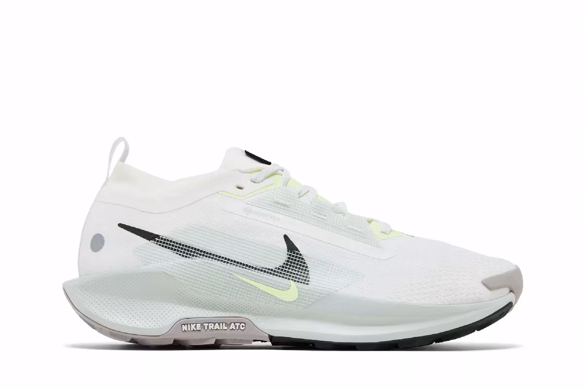 Nike Pegasus Trail 5 GORE-TEX Light Silver Sequoia, view 2