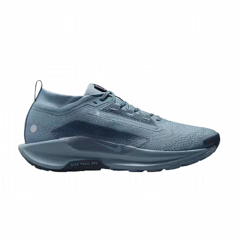 Nike Pegasus Trail 5 GORE-TEX 'Smokey Blue'