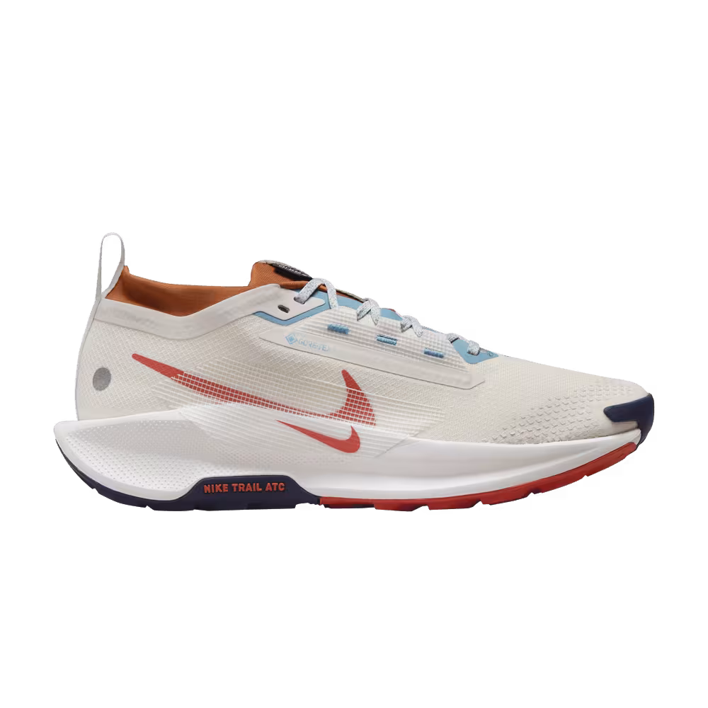 Nike Pegasus Trail 5 GORE-TEX Phantom Vintage Coral