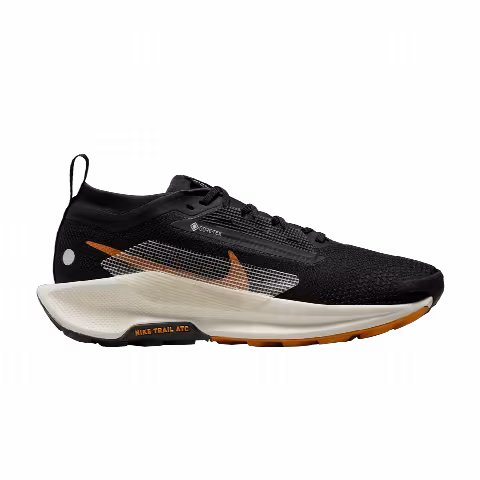 Nike Wmns Pegasus Trail 5 GORE-TEX 'Black Monarch'