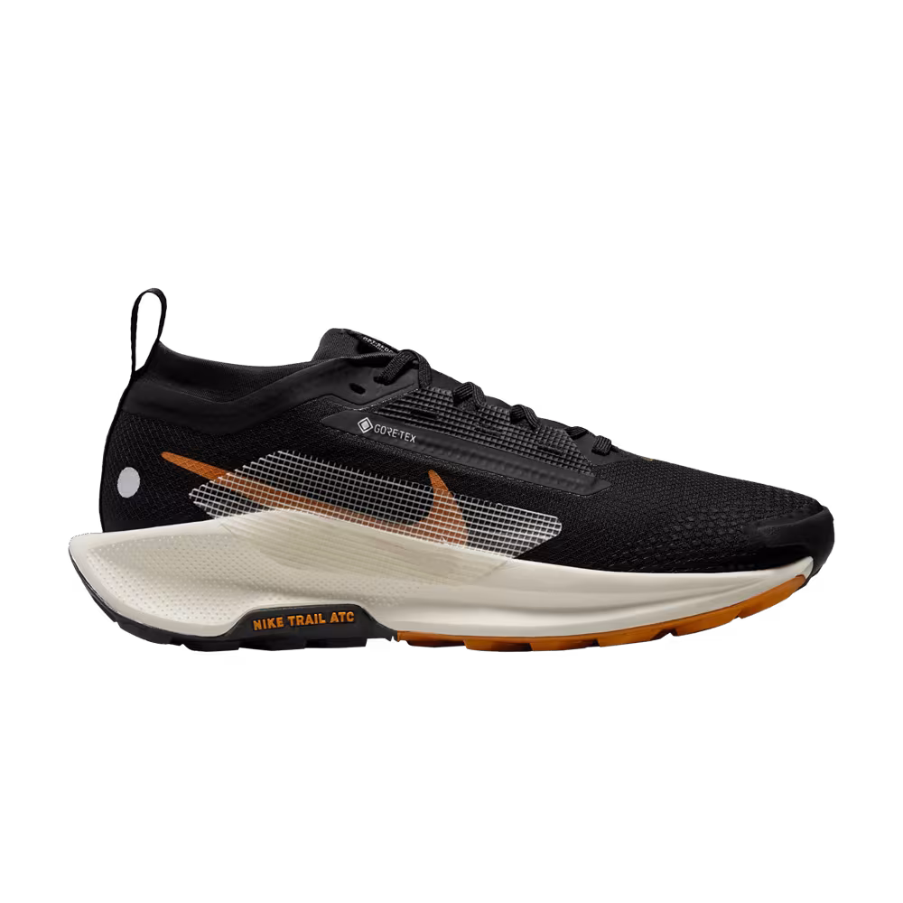 Nike Women's Pegasus Trail 5 GORE-TEX Black Monarch