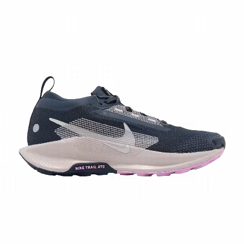 Nike Wmns Pegasus Trail 5 GORE-TEX 'Armory Navy Platinum Violet'