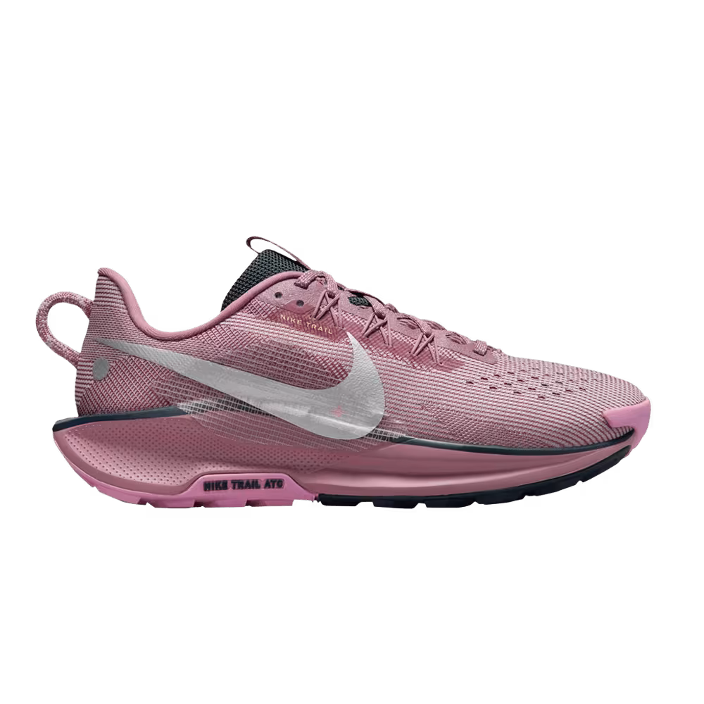 Nike Women's Pegasus Trail 5 Plum Dust