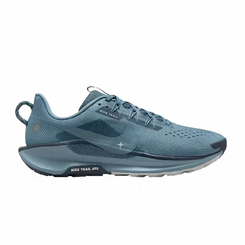 Nike Pegasus Trail 5 'Smokey Blue'