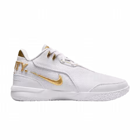 Nike Zoom LeBron NXXT Gen AMPD EP 'Equity'